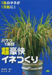 バケツで実践超豪快イネつくり 1粒のタネが1万粒に!