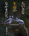 ちいさな生命のなかまたち 後藤文嗣写真集