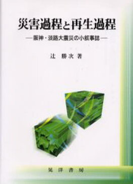 災害過程と再生過程 阪神・淡路大震災の小叙事誌