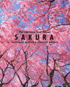 SAKURA The Japanese Soul Flower