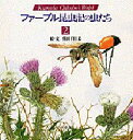 熊田千佳慕／絵・文本詳しい納期他、ご注文時はご利用案内・返品のページをご確認ください出版社名小学館出版年月1998年06月サイズ41P 29cmISBNコード9784097272724児童 学習 動物・植物・魚・虫ファーブル昆虫記の虫たち Kumada Chikabo’s world 2フア-ブル コンチユウキ ノ ムシタチ 2 2 クマダ チカボ ズ ワ-ルド KUMADA CHIKABO′S WORLD※ページ内の情報は告知なく変更になることがあります。あらかじめご了承ください登録日2013/04/10