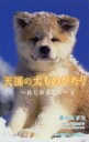 天国の犬ものがたり 〔9〕