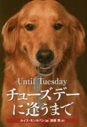チューズデーに逢うまで 介助犬と戦傷兵士の深い絆