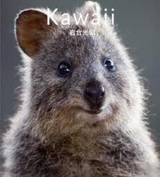 Kawaii ウォンバット クオッカ コアラ