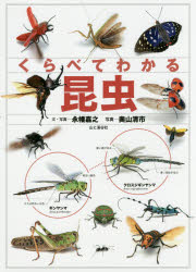 永幡嘉之／文・写真 奥山清市／写真本詳しい納期他、ご注文時はご利用案内・返品のページをご確認ください出版社名山と溪谷社出版年月2017年06月サイズ143P 26cmISBNコード9784635063494趣味 アウトドア フィールド図鑑くらべてわかる昆虫 識別ポイントで見分けるクラベテ ワカル コンチユウ シキベツ ポイント デ ミワケル※ページ内の情報は告知なく変更になることがあります。あらかじめご了承ください登録日2017/05/25