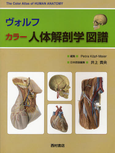 Petra Kopf‐Maier／編集 井上貴央／日本語版編集本詳しい納期他、ご注文時はご利用案内・返品のページをご確認ください出版社名西村書店出版年月2011年12月サイズ516P 28cmISBNコード9784890133932医学 基礎医学 解剖学ヴォルフ カラー人体解剖学図譜ヴオルフ カラ- ジンタイ カイボウガク ズフ原タイトル：Wolf‐Heidegger’s Atlas of Human Anatomy 原著第6版とWolf‐Heidegger The Color Atlas of Human Anatomyの編集・翻訳※ページ内の情報は告知なく変更になることがあります。あらかじめご了承ください登録日2013/04/03