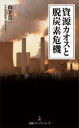 資源カオスと脱炭素危機(3)