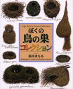 ぼくの鳥の巣コレクション