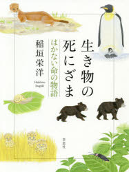 稲垣栄洋／著本詳しい納期他、ご注文時はご利用案内・返品のページをご確認ください出版社名草思社出版年月2020年07月サイズ219P 18cmISBNコード9784794224606教養 ノンフィクション ノンフィクションその他生き物の死にざま はかない命の物語イキモノ ノ シニザマ ハカナイ イノチ ノ モノガタリ※ページ内の情報は告知なく変更になることがあります。あらかじめご了承ください登録日2020/07/09