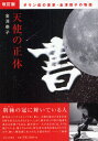 天使の正体 ダウン症の書家・金澤翔子の物語