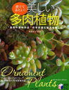 美しい多肉植物 育ててみたい! “自然の芸術作品”の不思議な魅力を楽しむ オーナメント・プランツ