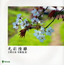 光彩陸離