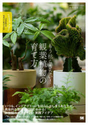 もう枯らさない!観葉植物の育て方