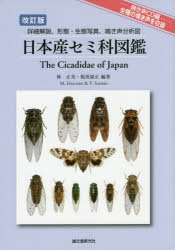 日本産セミ科図鑑 詳細解説、形態・生態写真、鳴き声分析図
