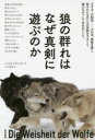 狼の群れはなぜ真剣に遊ぶのか