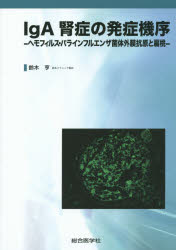 IgA腎症の発症機序 ヘモフィルス・パラインフルエンザ菌体外膜抗原と扁桃