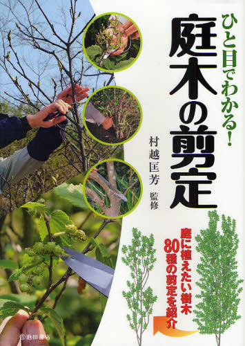 ひと目でわかる!庭木の剪定 庭に植えたい樹木80種の剪定を紹介