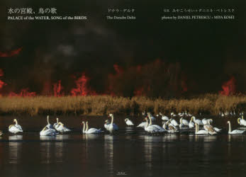 水の宮殿、鳥の歌 ドナウ・デルタ