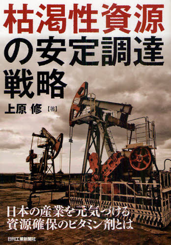 枯渇性資源の安定調達戦略