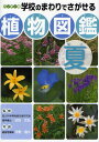 学校のまわりでさがせる植物図鑑 ハンディ版 夏