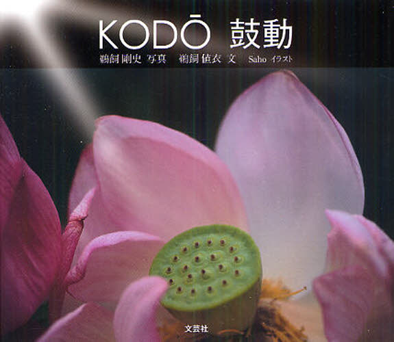 KODO ۓ