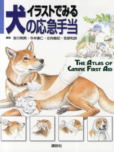 イラストでみる犬の応急手当