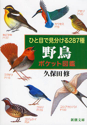 野鳥ポケット図鑑 ひと目で見分ける287種