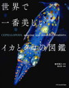 世界で一番美しいイカとタコの図鑑(3)