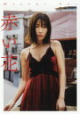 赤い花 小野真弓写真集