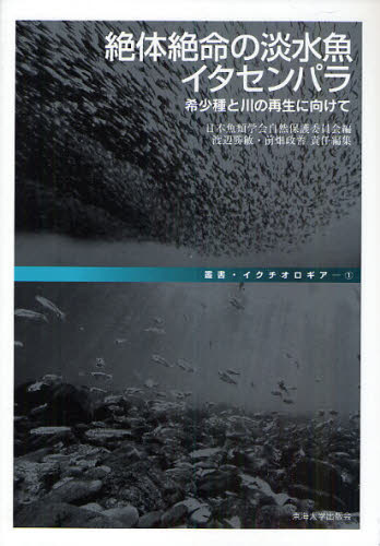 絶体絶命の淡水魚イタセンパラ 希少種と川の再生に向けて