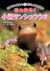 はっけん!小型サンショウウオ