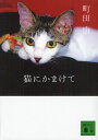 猫にかまけて