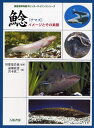 鯰 イメージとその素顔