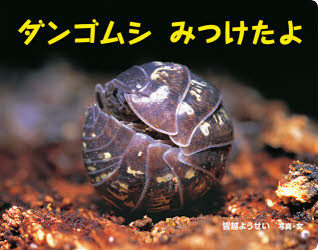 ダンゴムシみつけたよ