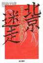 北京迷走 小平・胡燿邦・趙紫陽の軌跡