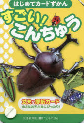 こどものほんその他詳しい納期他、ご注文時はご利用案内・返品のページをご確認ください出版社名交通新聞社出版年月2019年07月サイズISBNコード9784330979199児童 しかけ絵本 しかけ絵本その他はじめてカードずかん すごい!こんちゅうハジメテ カ-ド ズカン スゴイ コンチユウ コドモ ノ ホン※ページ内の情報は告知なく変更になることがあります。あらかじめご了承ください登録日2019/07/26