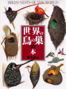 世界の鳥の巣の本