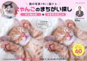 にゃんこのまちがい探し ネコねんね&うまそうだニャ