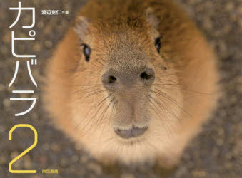 カピバラ 2
