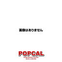 貧困問題がわかる 貧困問題解決に向けて第一線の論者が語る 2