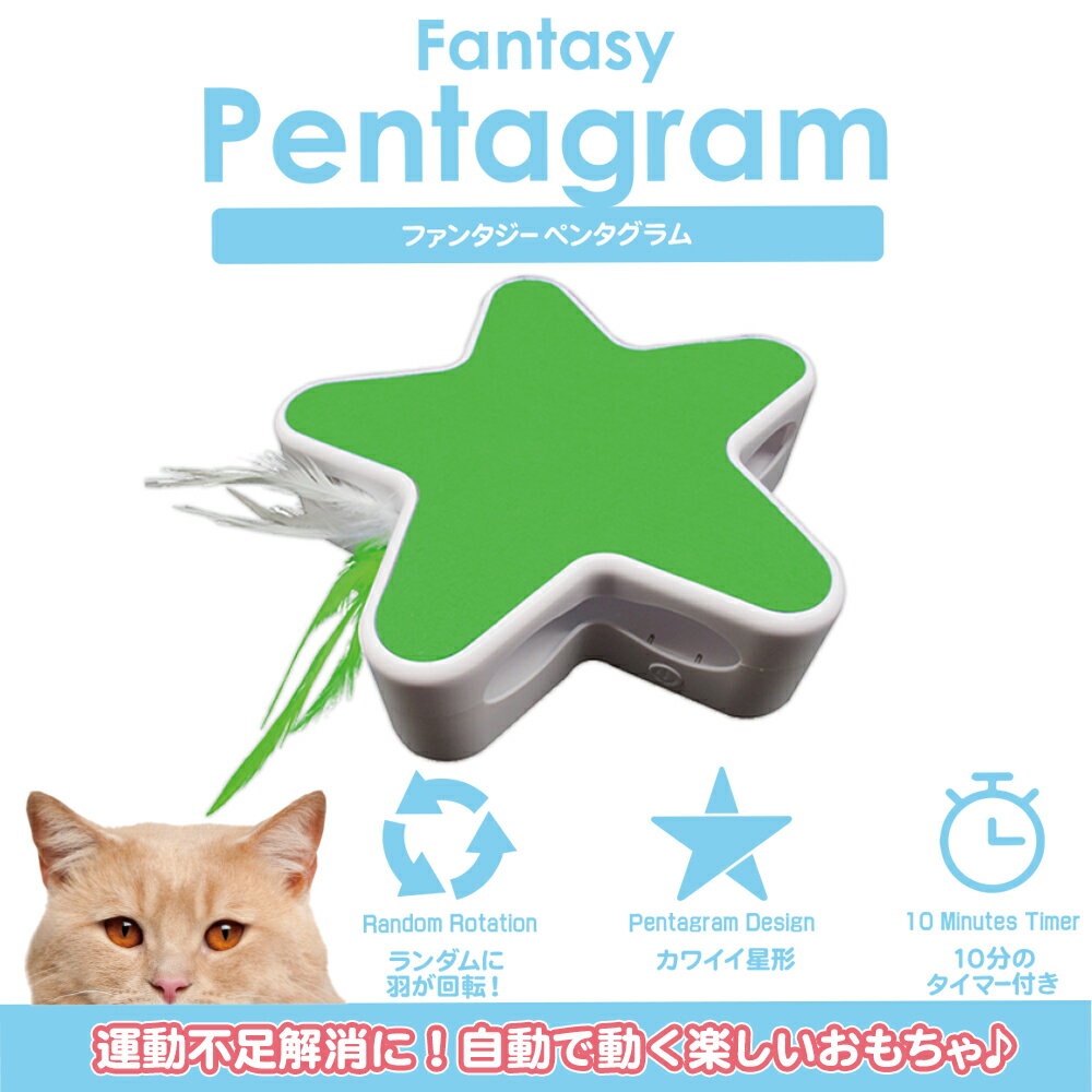 ファンタジーワールド ファンタジー ペンタグラム グリーン BTM1820-G （猫用おもちゃ）【ネコポス不可】 2