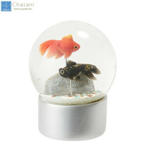 ガラスで涼し気 ハーバリウムや置物などおしゃれな金魚インテリアのおすすめランキング わたしと 暮らし ガラスで涼し気 ハーバリウムや置物などおしゃれな金魚インテリアのおすすめランキング わたしと 暮らし
