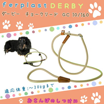 ファンタジーワールド ダービー チョークリード GC10/160 グリーン 75383502 (犬用しつけ用品)【ネコポス不可】