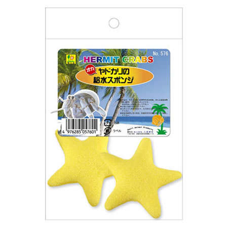 【ネコポス対応】三晃商会 オカヤドカリの給水スポンジ 576 2個入り [M便 1/1]のサムネイル