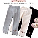 2枚セット レギンス キッズ ベビー フリル 女の子 タイツ スパッツ ニット リブニット レギンス 子供服 靴下 春 秋 夏 80 90 100 110 120 130cm かわいい シンプル 上品 カジュアル こども ニット 防寒 スパッツ 保育園 幼稚園 通園 通学 送料無料