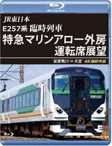 JR東日本 E257系 臨時列車「特急マリンアロー外房」運転