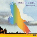 Dragon Ash／POSSE IN VIDEO DVD