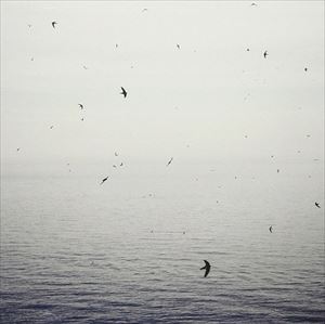 ͢���� ON / YOUR NAKED GHOST COMES BACK [CD]