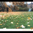 Rakuten - つじあやの / ゆびきり／星降る夜のクリスマス [CD]