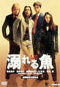 溺れる魚(DVD) ◆20%OFF!